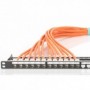 DIGITUS CAT 7 S-FTP Multipair Trunk Cable, raw 6 pares, AWG 23/1, 1200 MHz, LSZH-3, Longitud de 1 m, color turquesa