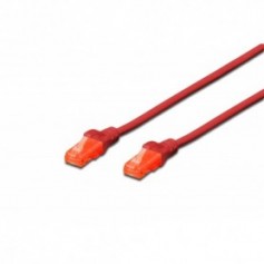Cable de conexión U-UTP CAT 6, PVC AWG 26/7, longitud 0,5 m, color rojo