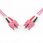 Cable de conexión de fibra óptica DIGITUS, SC a SC multimode OM4 - 50/125 µ, Duplex, color RAL4003, Longitud de 5m