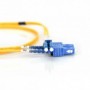 Cable de conexión DIGITUS de fibra óptica, LC a SC OS2, modo único 09/125 µ, Duplex, Longitud de 2 m