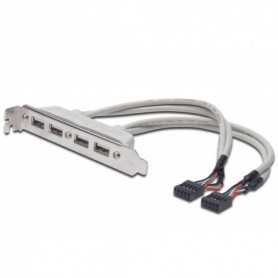 Cable de soporte de ranura USB, 4x tipo A-2x10 pines IDC H/H, 0,25 m, compatible con USB 2.0, be
